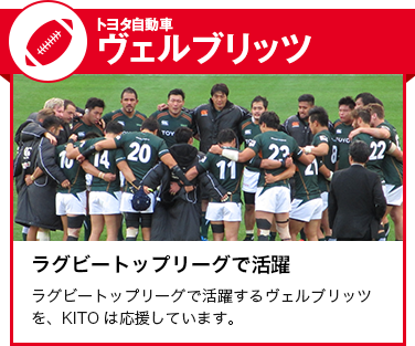 ラグビーヴェルブリッツ