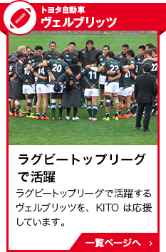 ラグビーヴェルブリッツ